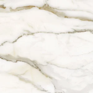 import placeholder for 5454