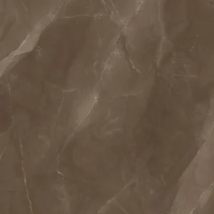 import placeholder for 5492