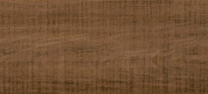 import placeholder for 5521